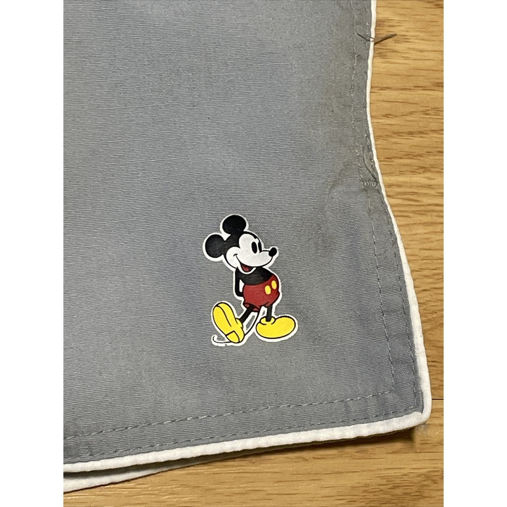 Vintage Disney Employee Small Grey Shorts‎ Made in USA